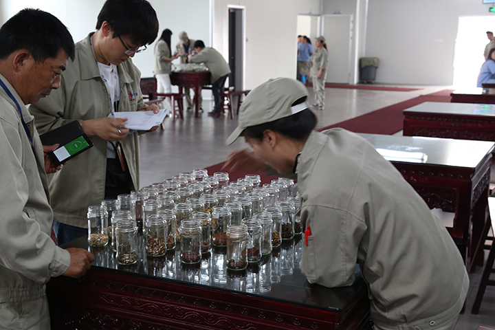 五月的掌聲 ——天靈中藥第二屆認(rèn)藥大賽(圖4) 五月的掌聲 ——天靈中藥第二屆認(rèn)藥大賽(圖4)